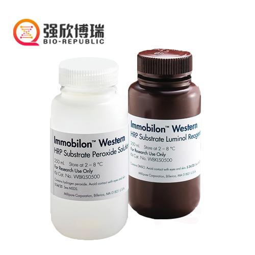 Immobilon Western 化学发光 HRP 底物  WBKLS0500
